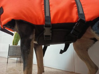 Chaleco salvavidas para perros flamingo