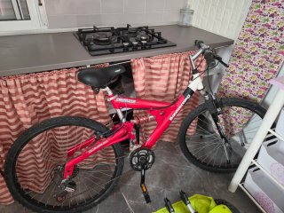 Bicicleta