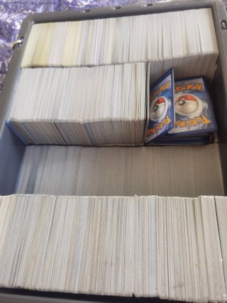 Carte Pokemon
