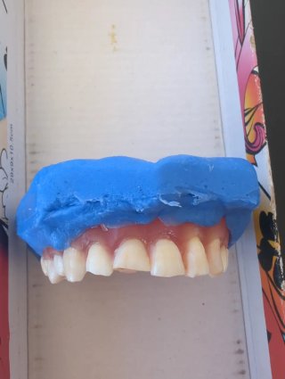 Tipodonto Dientes Naturales
