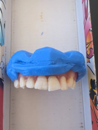 Tipodonto Dientes Naturales