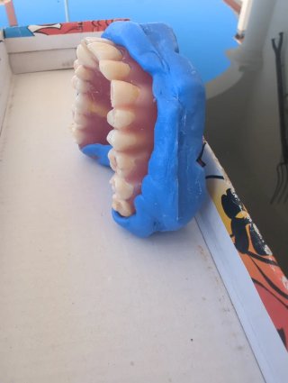 Tipodonto Dientes Naturales