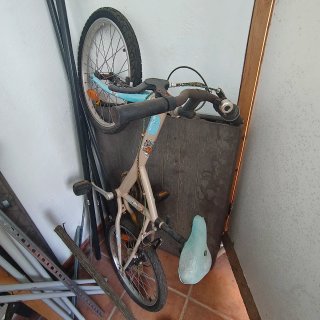 Bicicleta infantil niña/niño