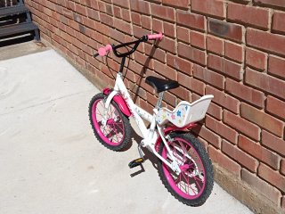 Bicicleta Infantil 16 Fantasy