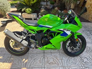 Kawasaki Ninja 125 Verde 2026