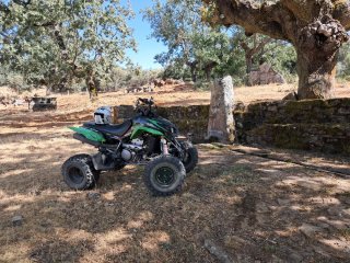 Quad Suzuki DVX 400