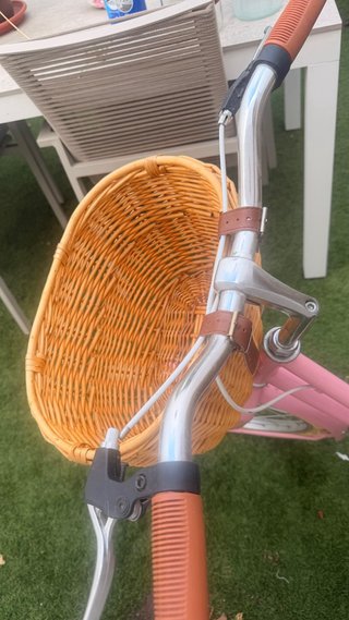 Bicicleta Victoria rosa 24” con cesta