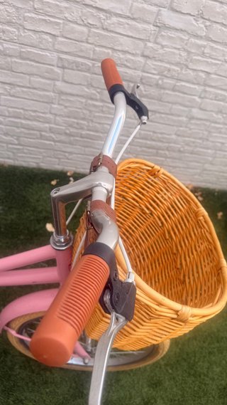 Bicicleta Victoria rosa 24” con cesta