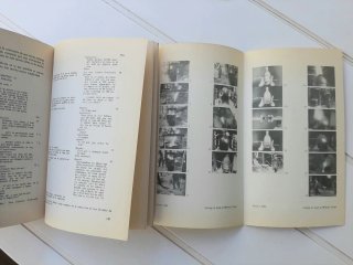 Técnica del montaje (cinematográfico)