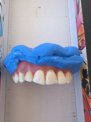 Tipodonto dientes naturales