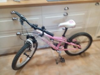 Bicicleta Montaña GT 20'' Niña Rosa