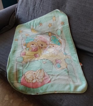 Cuna moisés para bebé