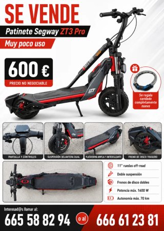 Patinete eléctrico Segway ZT