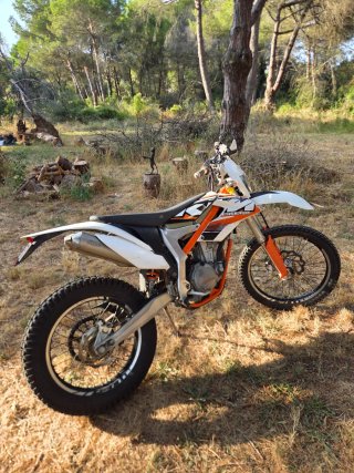 KTM 350 Freeride 2014