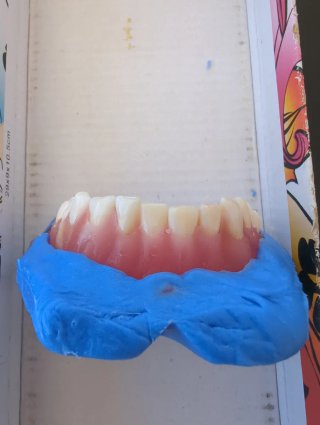 Tipodonto Dientes Naturales