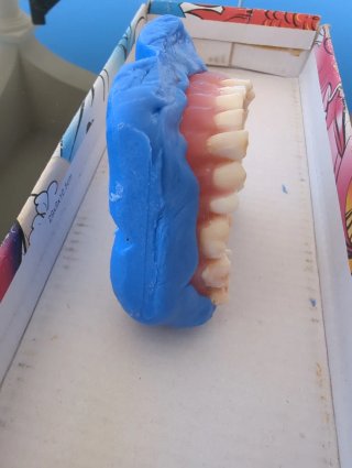 Tipodonto Dientes Naturales