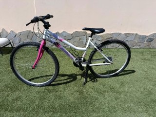 Bicicleta Denbike 20 pulgadas