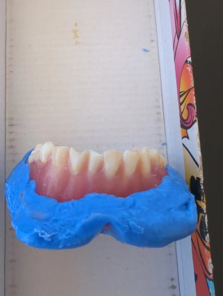 Tipodonto Dientes Naturales