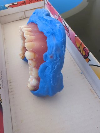 Tipodonto Dientes Naturales