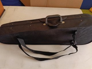 Violin aprendizaje con funda rígida y complementos