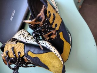 Scarpe Steve Madden donna