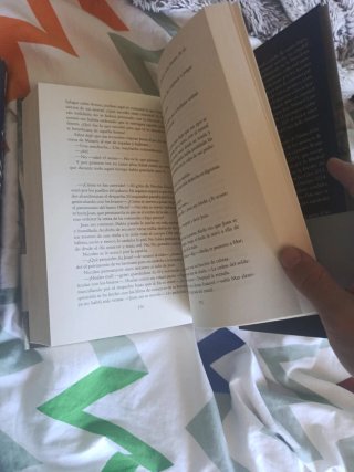 Marina Carlos Ruiz zafón y Ildefonso falcones la C