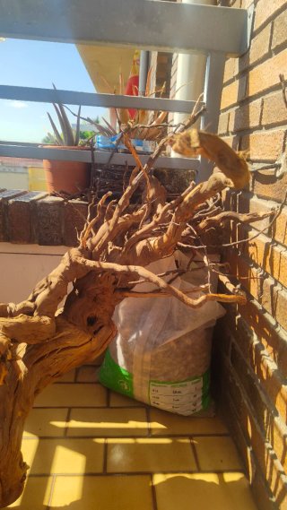 Tronco Raíz de madera para acuario