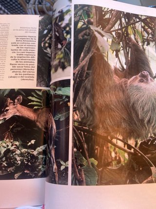 Libro Reino Animal