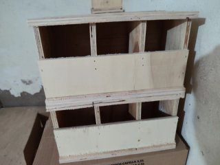 Comederos para palomos internos