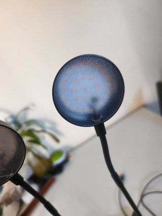 2 Lampade LED Base in Bambù