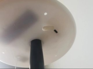 Lámpara LED de mesa negra y blanca