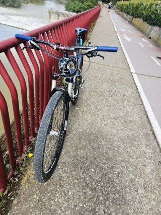 Bicicleta MSC Carbon 29er
