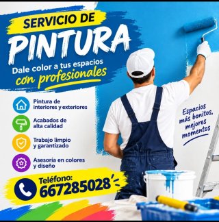 Servicio de Pintura Profesional