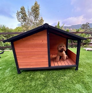 Caseta de madera para perro