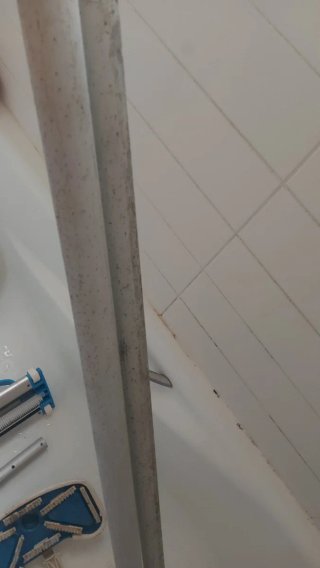 Kit Limpieza Piscina: Rastrillo, Limpiafondos y Ma