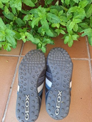 Zapatos Geox niño velcro piel azul marino 39