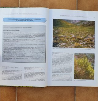 VEGETACION PROTEGIDA EN CASTILLA-LA MANCHA