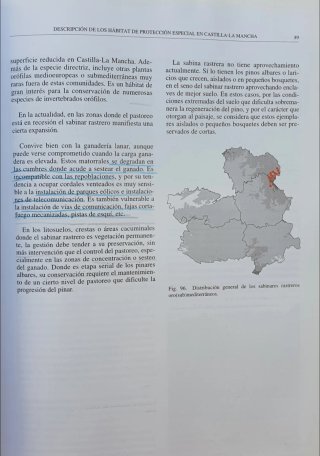 VEGETACION PROTEGIDA EN CASTILLA-LA MANCHA