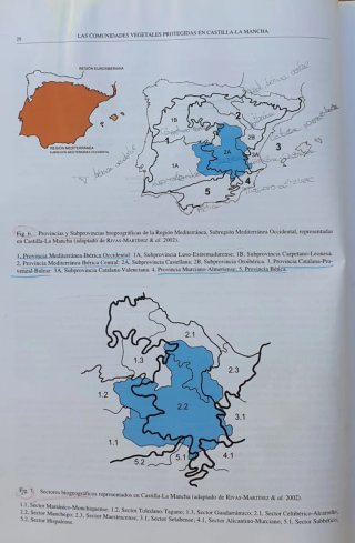 VEGETACION PROTEGIDA EN CASTILLA-LA MANCHA