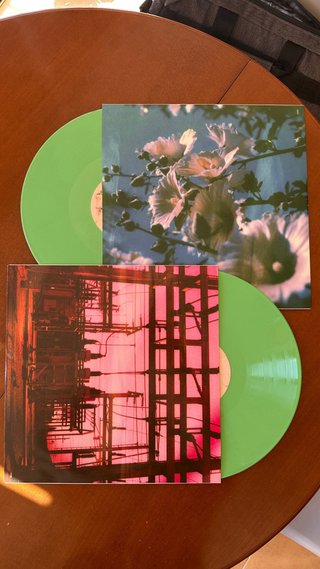 Lana Del Rey - Did You Know...? Vinilos Verdes 12”