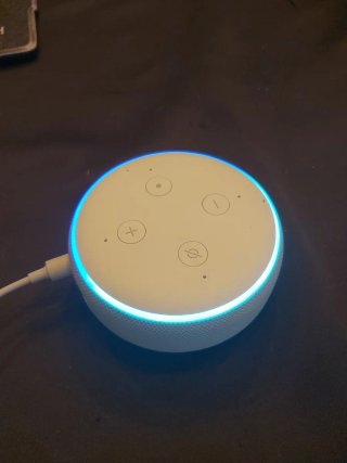 Amazon Echo Dot 3ª Gen Grigio/Bianco (leggi!)