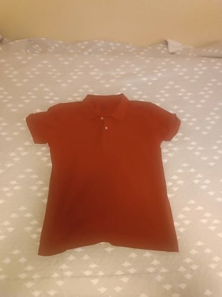 Lote Camisas Hombre y Polos