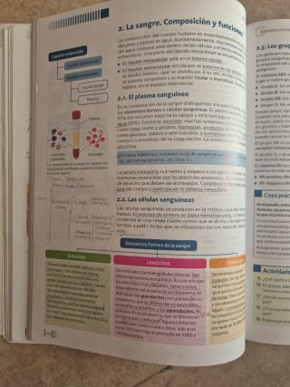 Anatomofisiología y patología básicas