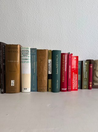 Lote 12 libros de medicina, Harrison y manuales