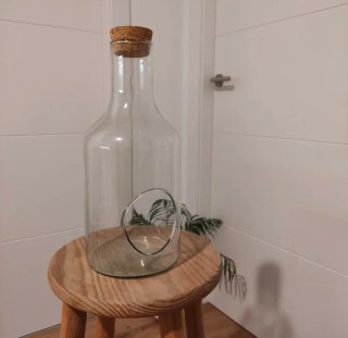Terrario de vidrio abierto con corcho