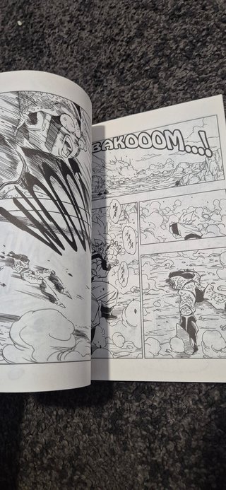 Comic dragon ball serie roja 24 177