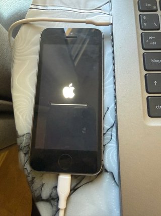 iPhone 5s Apple Negro/Plateado