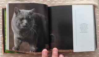 GATOS