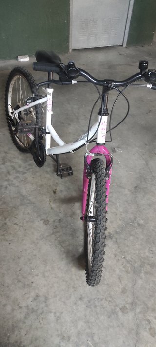 Bicicleta Niña 24''