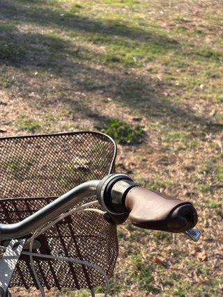 Bicicleta Paseo Holandesa